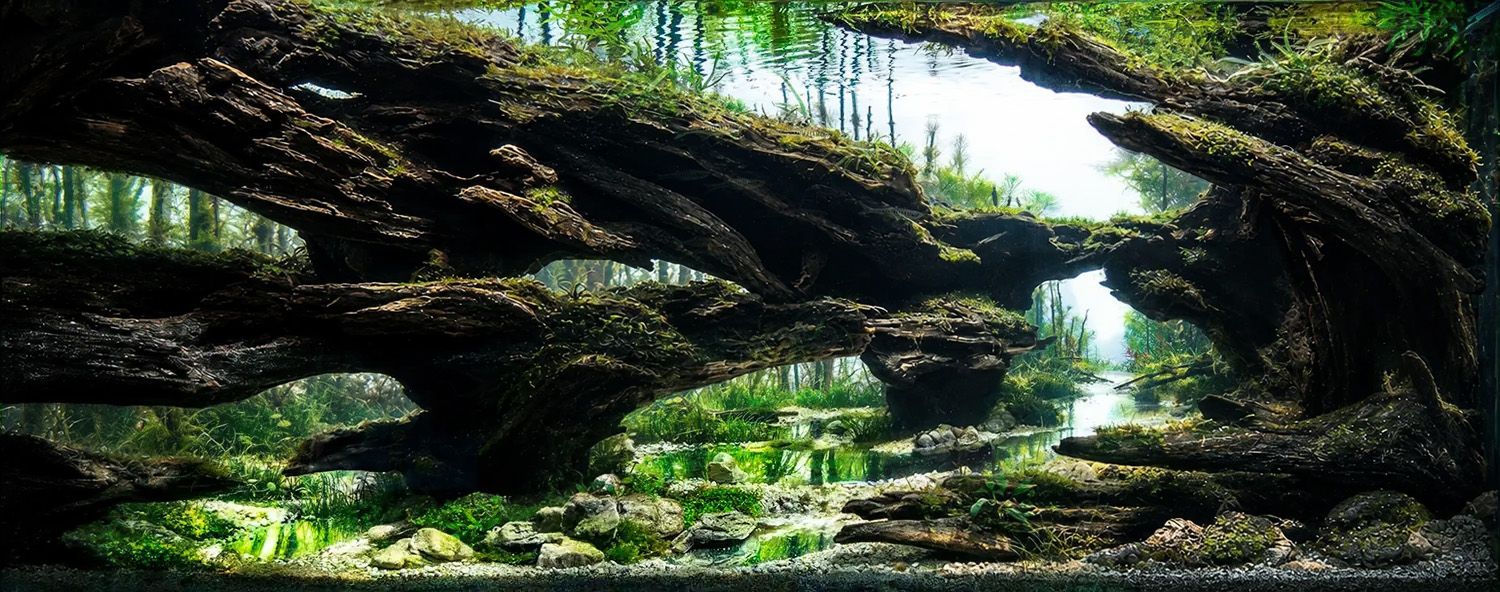 Recreation of Natural Habitat for Fish