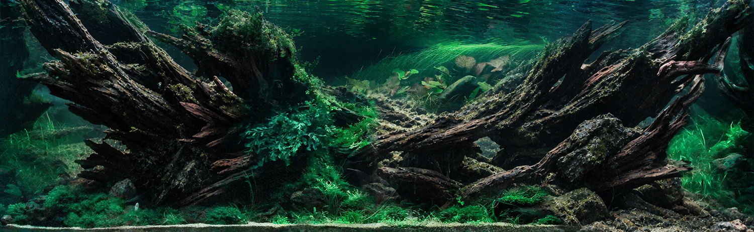 Habitat Recreation and Fish Integration