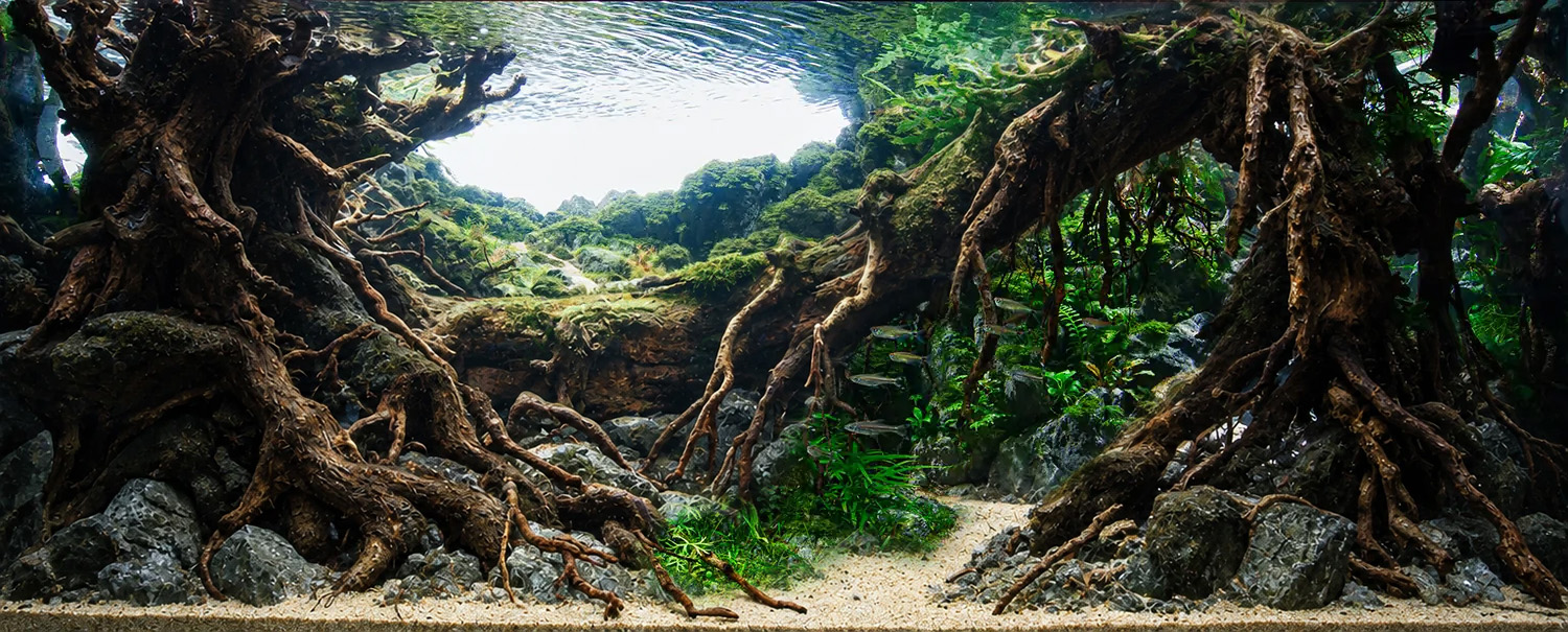 Habitat Recreation and Fish Integration