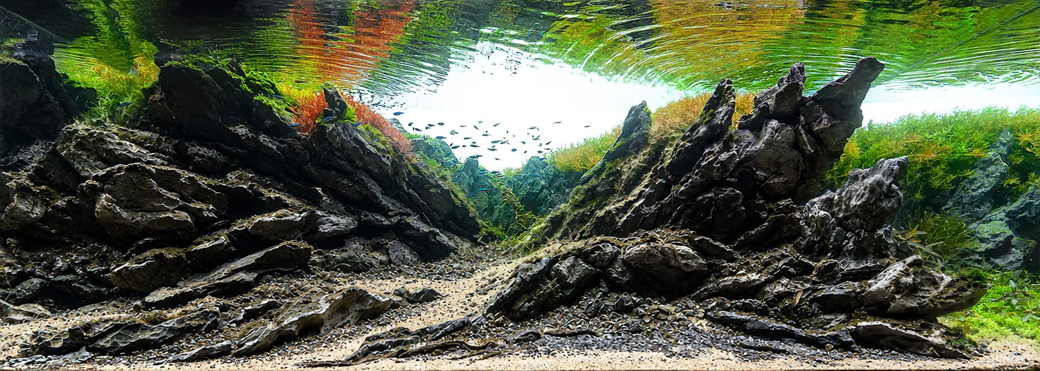 Habitat Recreation and Fish Context