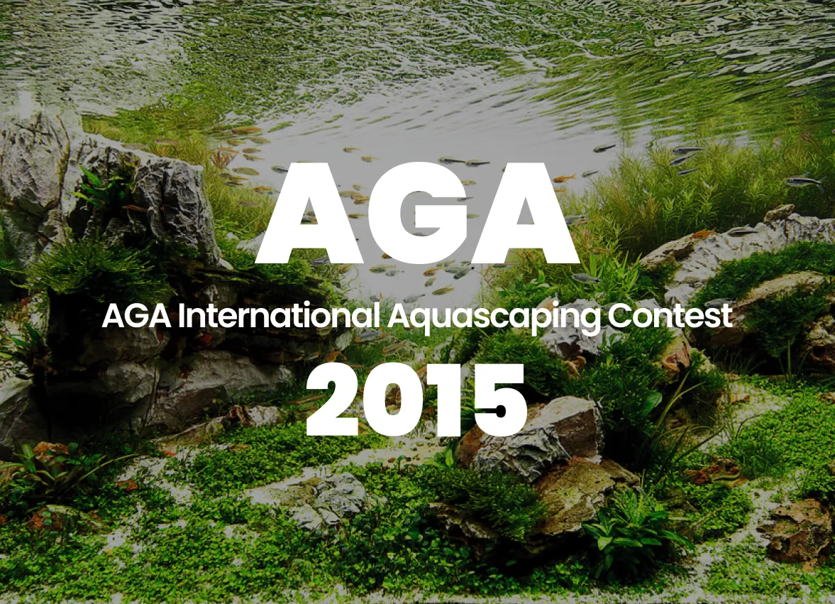 AGA 2015 World Ranking Announcement