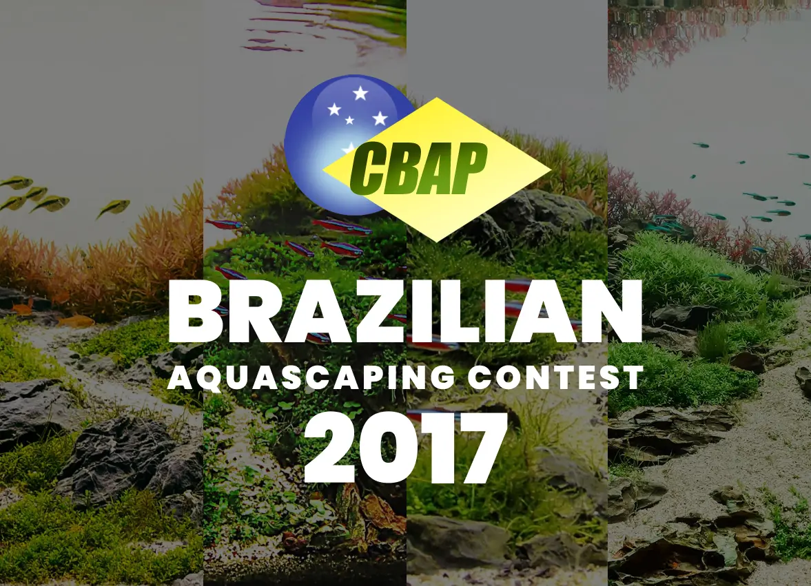 Brazil Aquascaping Contest 2017 Result - CBAP 2017