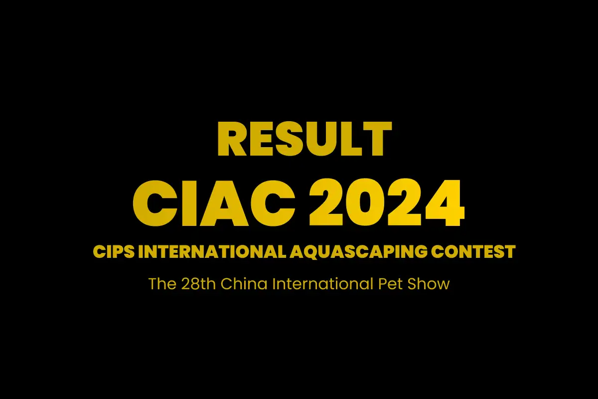 CIAC 2024 World Ranking Announcement