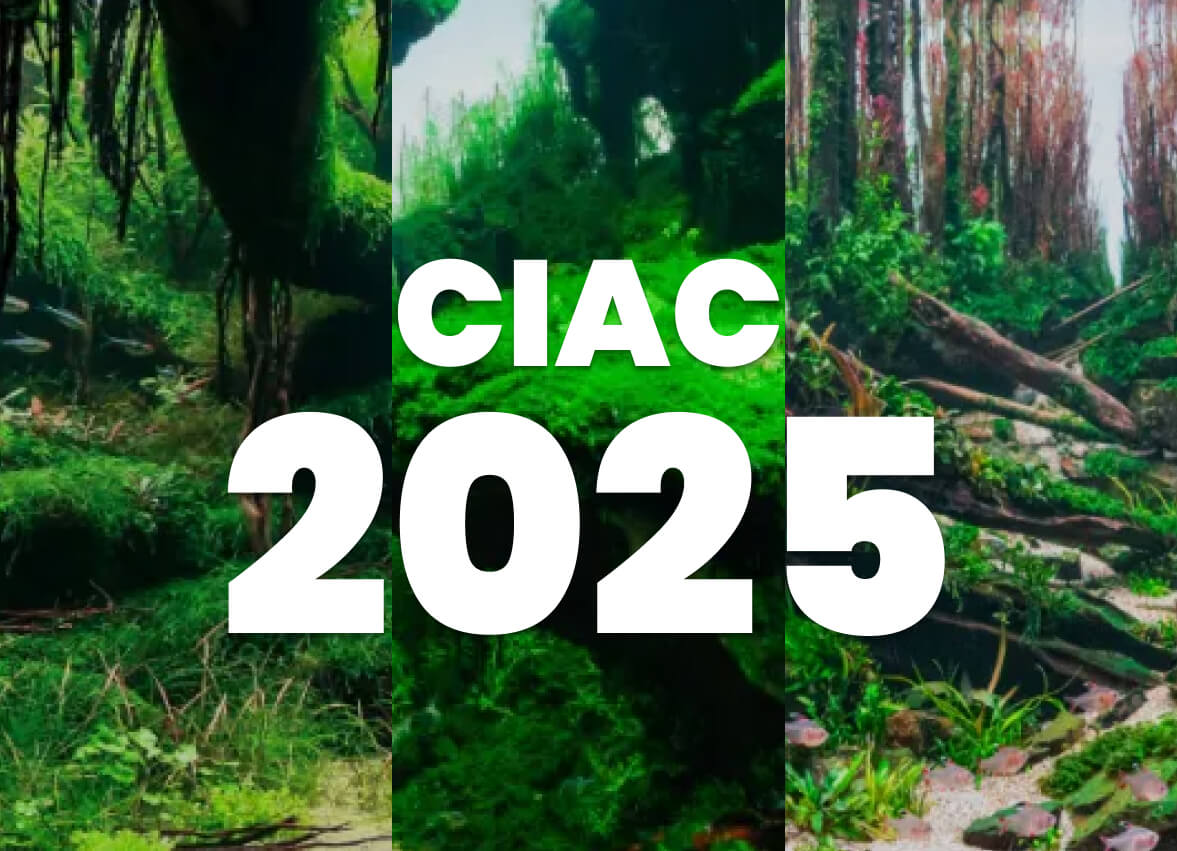 CIAC 2025 World Ranking Announcement