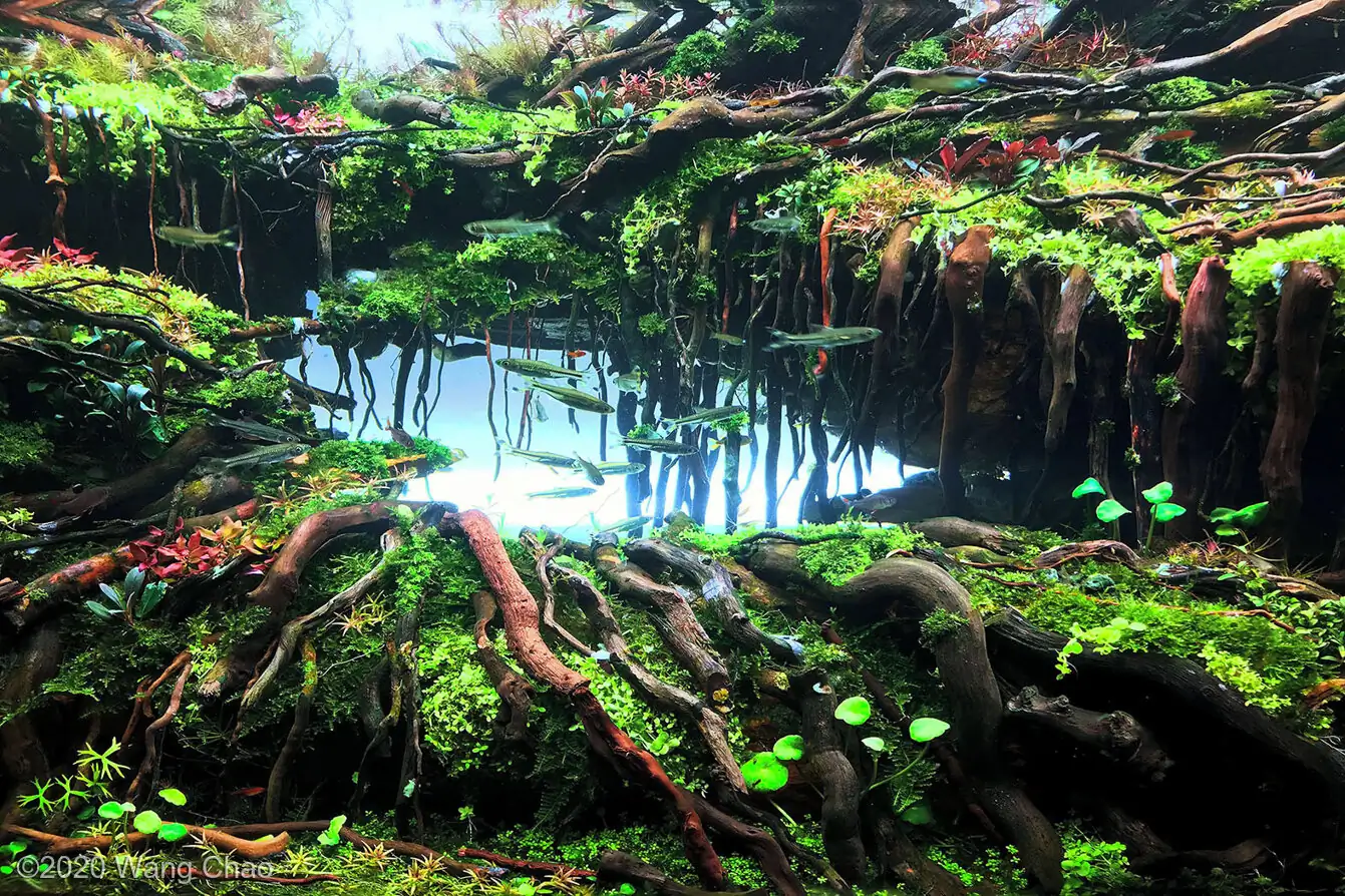 Time and Space - 3rd Place AGA 2020 - Winning Work IAPLC 2019 - WangChao / China