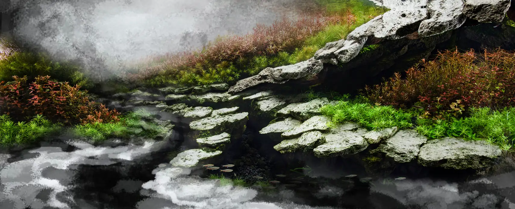 Aquascaping steps IAPLC 2022 - Rank 11 - Eri Tokusasahi / Japan