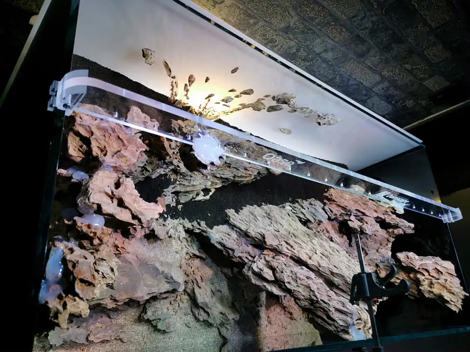 Steps progression IAPLC 2022 Rank 115 Last Day - Damien Agro / France