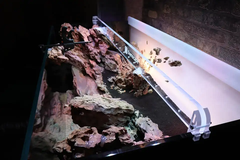 Steps progression IAPLC 2022 Rank 115 Last Day - Damien Agro / France