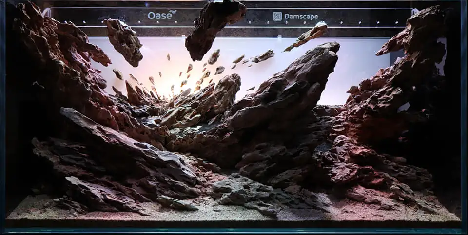 Steps progression IAPLC 2022 Rank 115 Last Day - Damien Agro / France