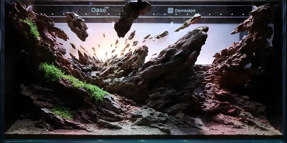 Steps progression IAPLC 2022 Rank 115 Last Day - Damien Agro / France