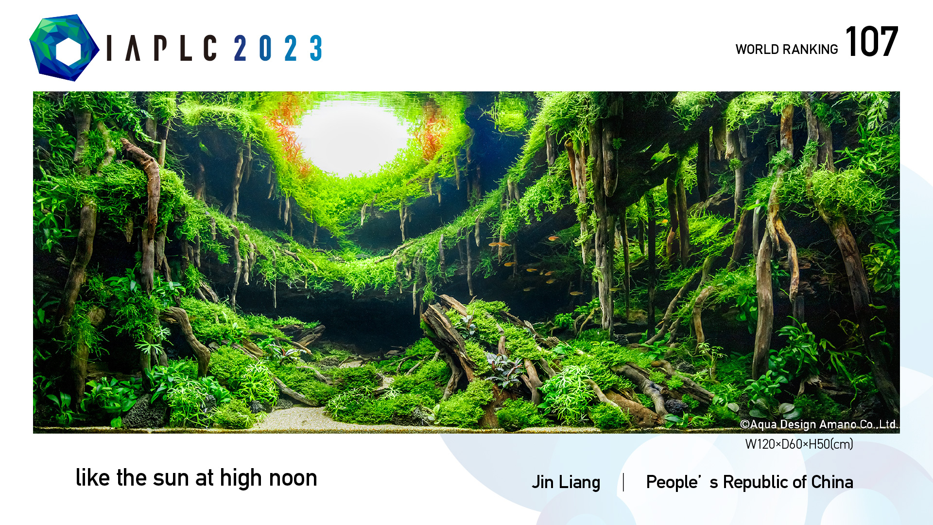 Aquascaping steps IAPLC 2023 - Like the sun at hight noon - Liang Jin / China