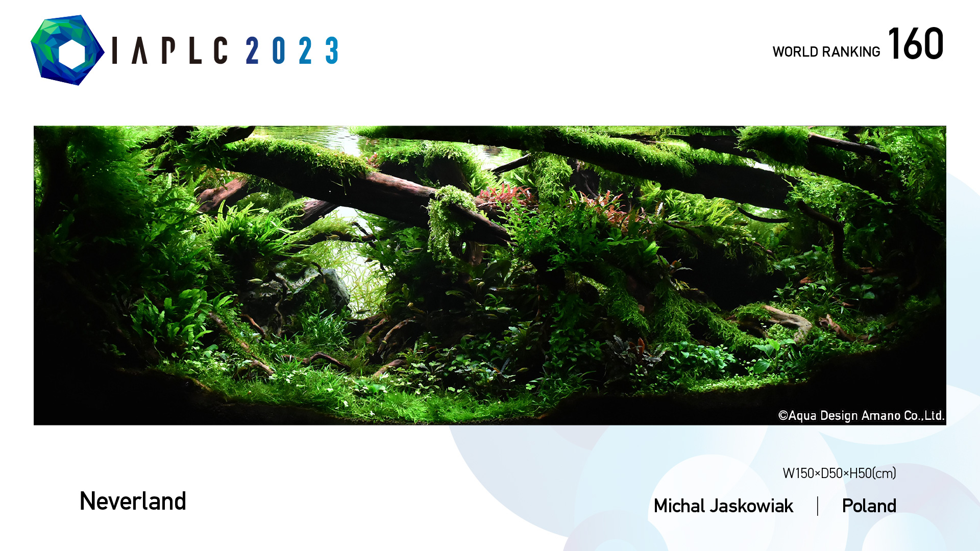 Aquascaping steps IAPLC 2023 - Rank 160 - Neverland - Michal Jaskowiak / Poland