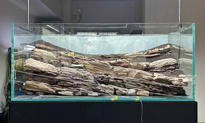 Aquascaping steps Color layers of the earth IAPLC 2024 - Kazuma Takeuchi / Japan