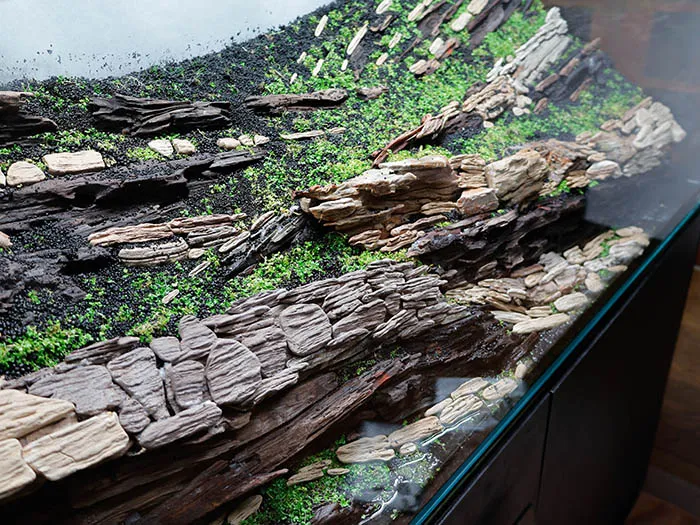Aquascaping steps Color layers of the earth IAPLC 2024 - Kazuma Takeuchi / Japan