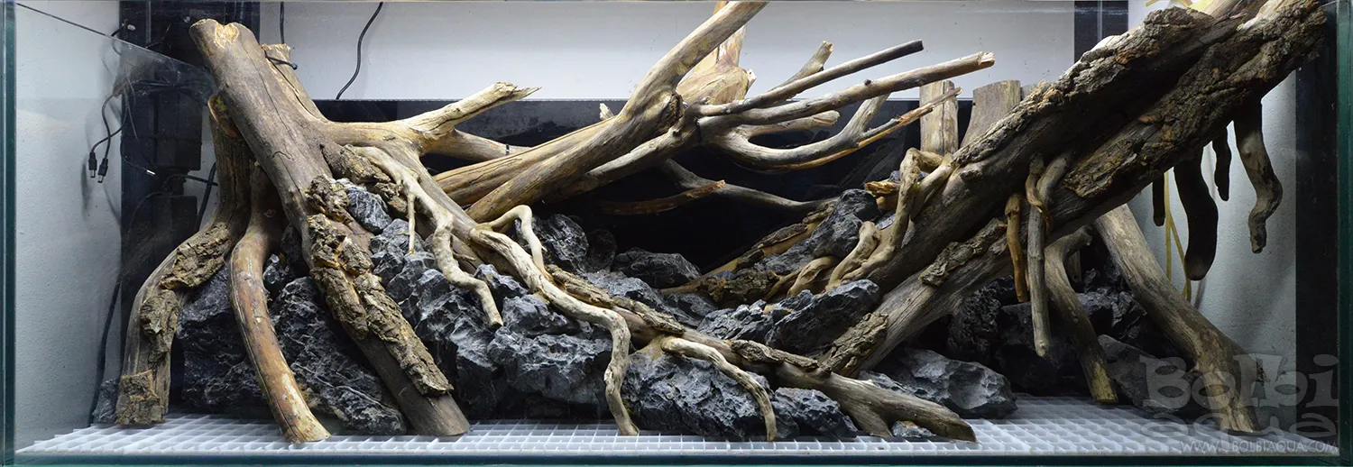 Aquascaping steps - Dark - IAPLC 2025 Fine Works - Antonio Nikolic / Croatia