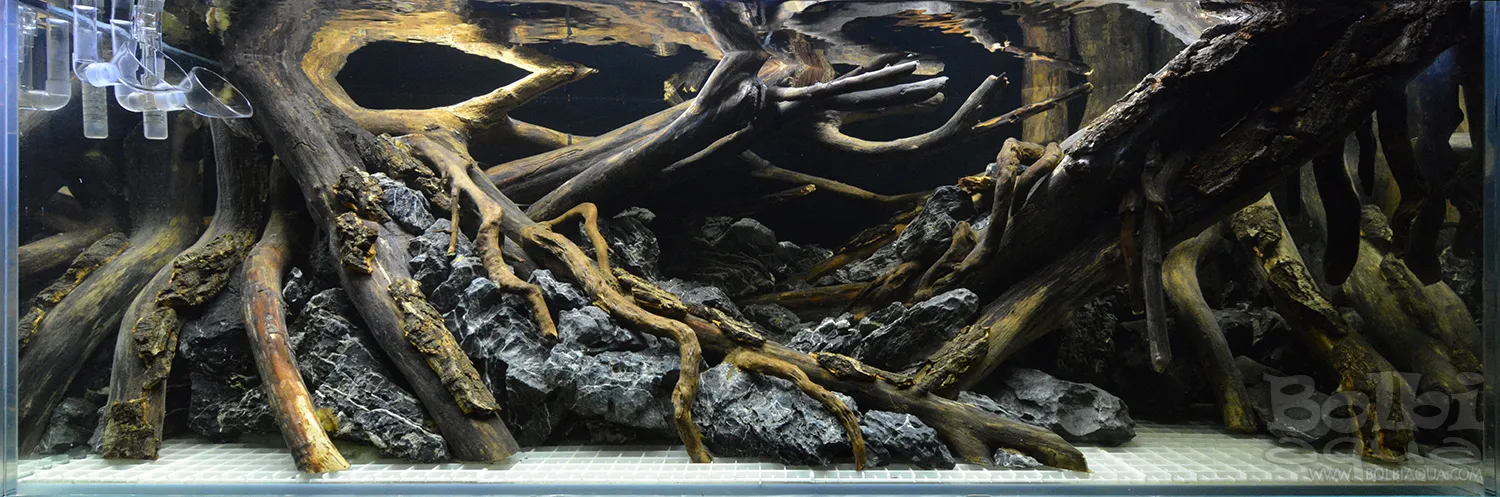 Aquascaping steps - Dark - IAPLC 2025 Fine Works - Antonio Nikolic / Croatia