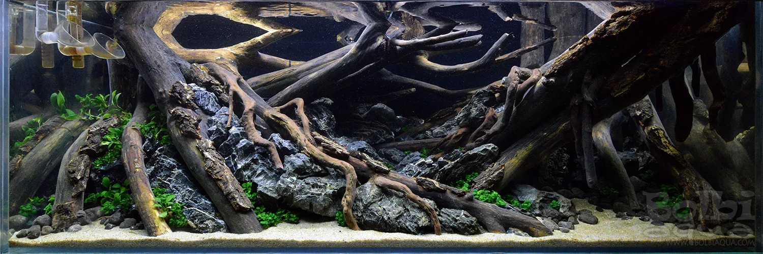 Aquascaping steps - Dark - IAPLC 2025 Fine Works - Antonio Nikolic / Croatia