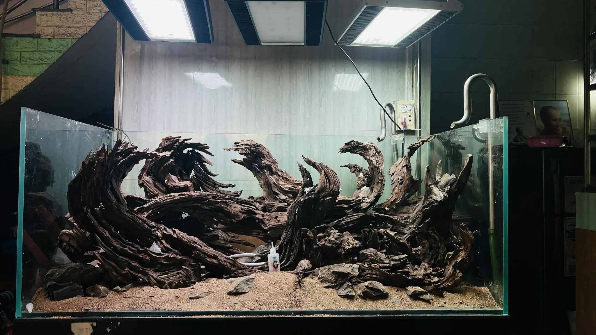 Aquascaping steps - Forest Spirit - IAPLC 2025 Fine Works - Vo Truong Nghia / Vietnam