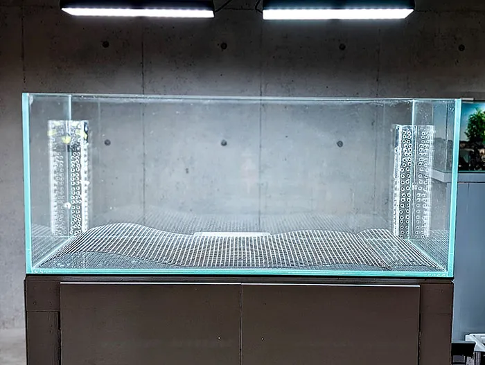 Aquascaping steps - PRIMAL BUST - IAPLC 2025 Silver Prize - Katsuki Tanaka / Japan