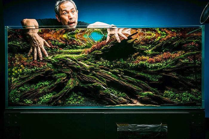 Aquascaping steps - PRIMAL BUST - IAPLC 2025 Silver Prize - Katsuki Tanaka / Japan