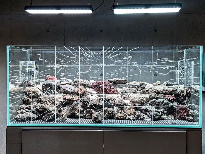 Aquascaping steps - PRIMAL BUST - IAPLC 2025 Silver Prize - Katsuki Tanaka / Japan