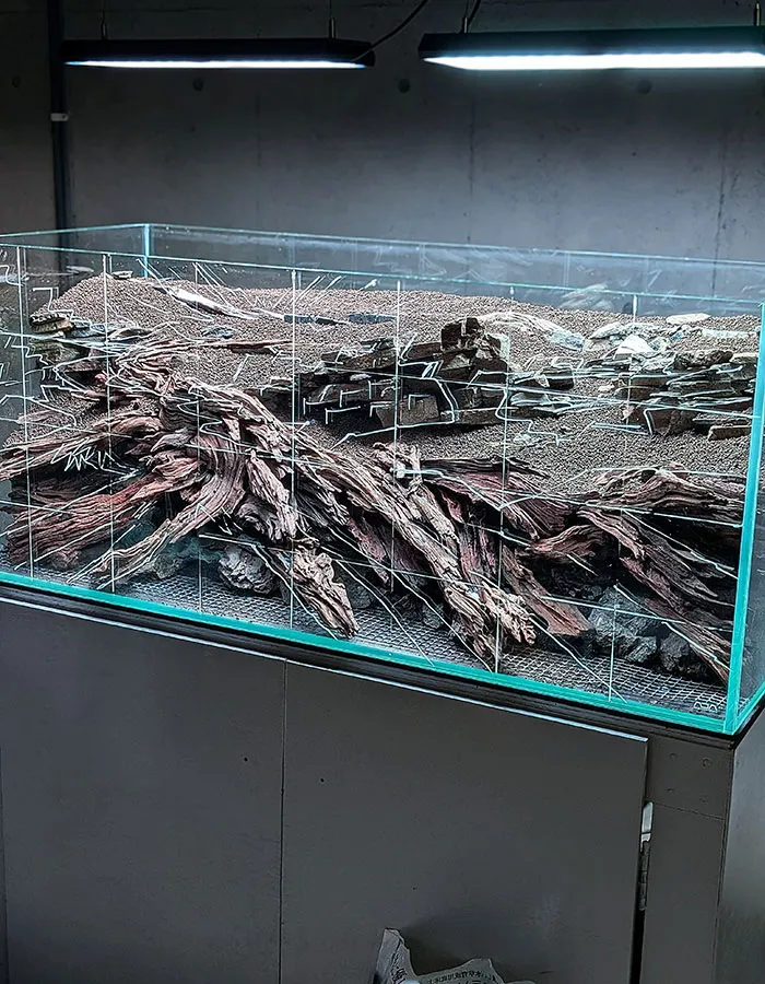 Aquascaping steps - PRIMAL BUST - IAPLC 2025 Silver Prize - Katsuki Tanaka / Japan