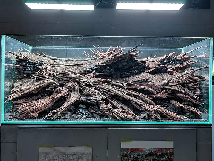 Aquascaping steps - PRIMAL BUST - IAPLC 2025 Silver Prize - Katsuki Tanaka / Japan