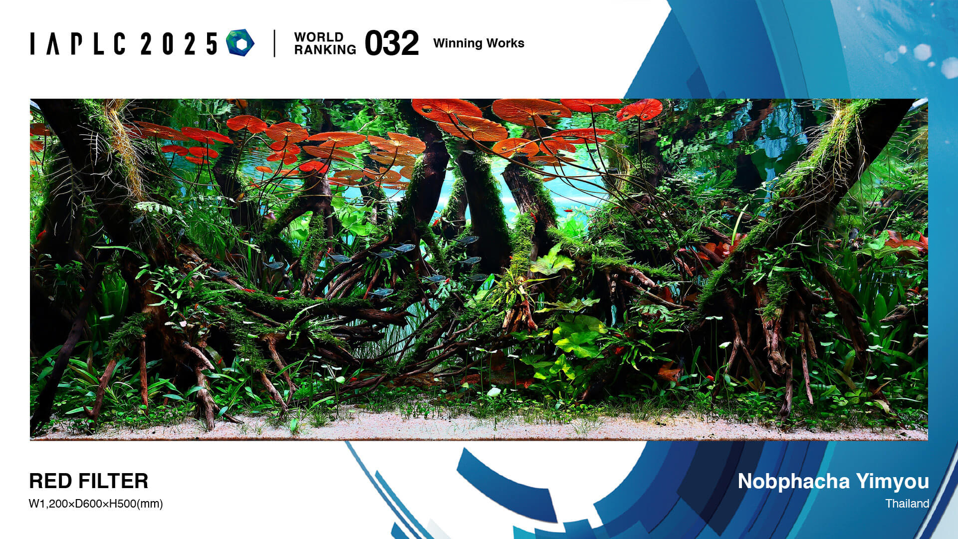 Aquascaping steps - Red Filter - IAPLC 2025 Winning Works - Nobphacha Yimyou / Thailand