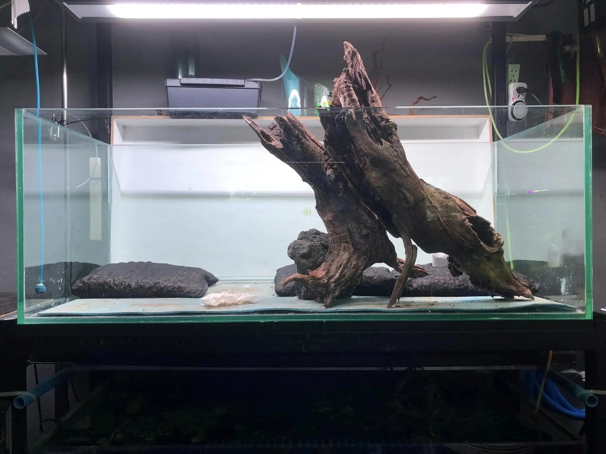 Aquascaping steps IIAC 2023 - Rank 37 - Tunnel Dream - Eakthanat Isarathikul / ThaiLand