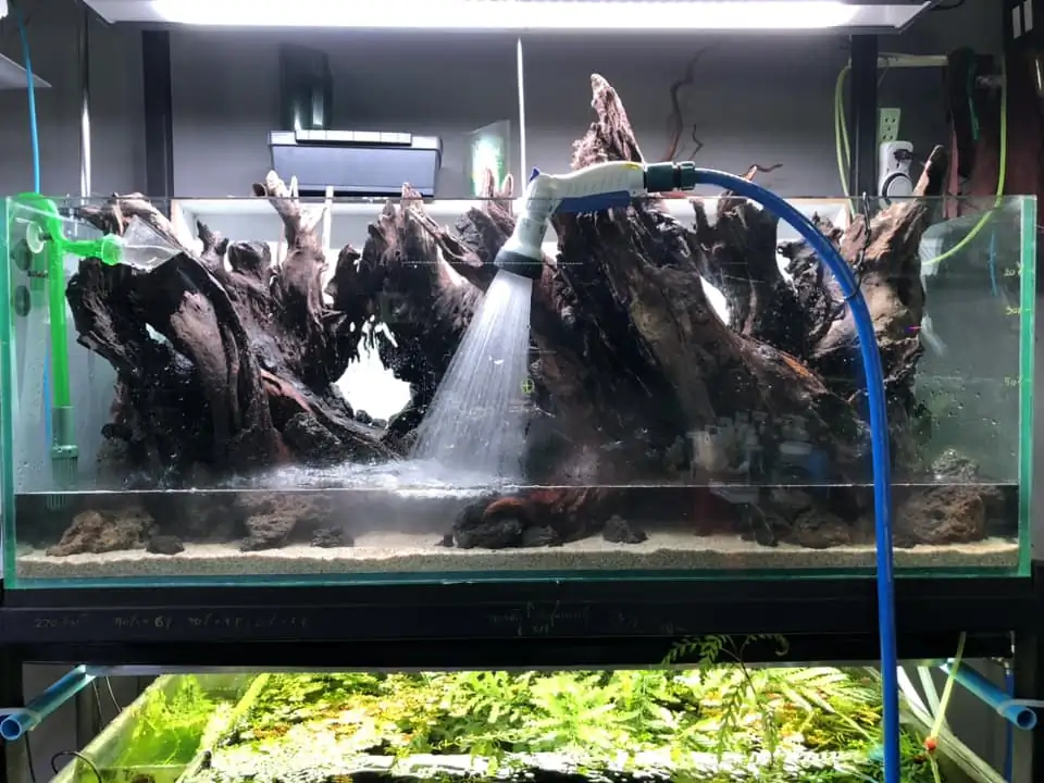 Aquascaping steps IIAC 2023 - Rank 37 - Tunnel Dream - Eakthanat Isarathikul / ThaiLand