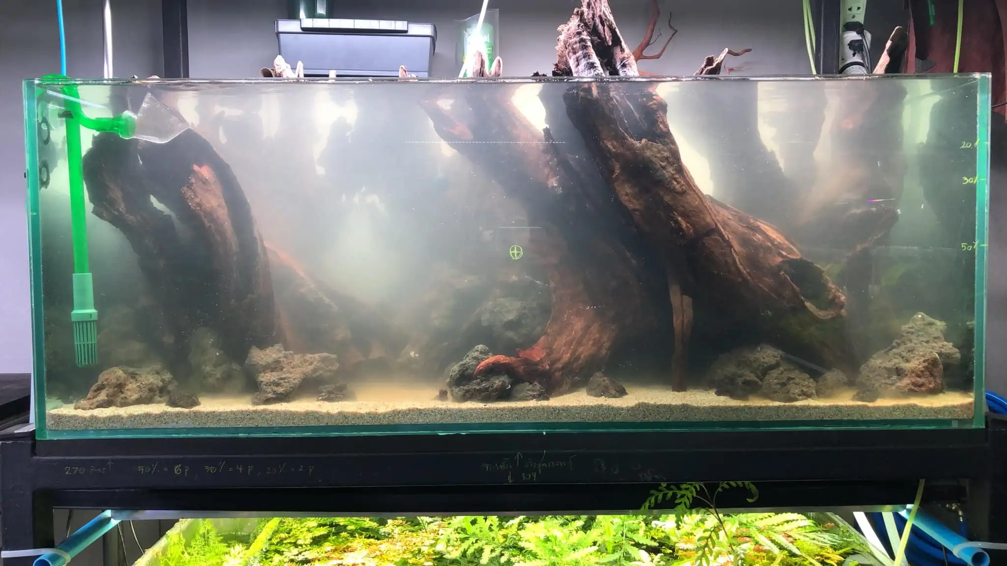 Aquascaping steps IIAC 2023 - Rank 37 - Tunnel Dream - Eakthanat Isarathikul / ThaiLand