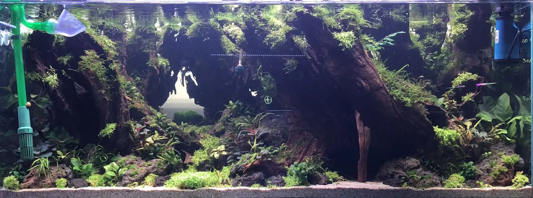 Aquascaping steps IIAC 2023 - Rank 37 - Tunnel Dream - Eakthanat Isarathikul / ThaiLand