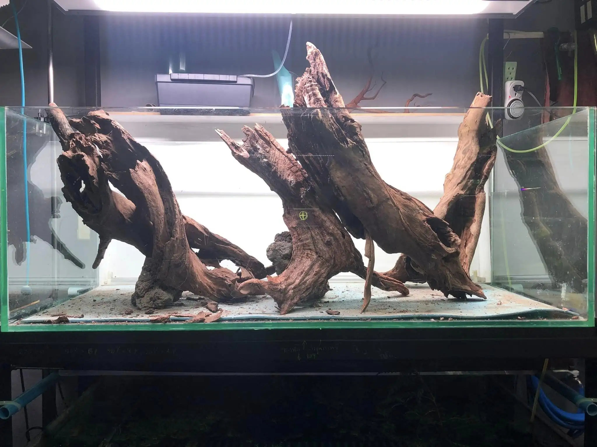 Aquascaping steps IIAC 2023 - Rank 37 - Tunnel Dream - Eakthanat Isarathikul / ThaiLand