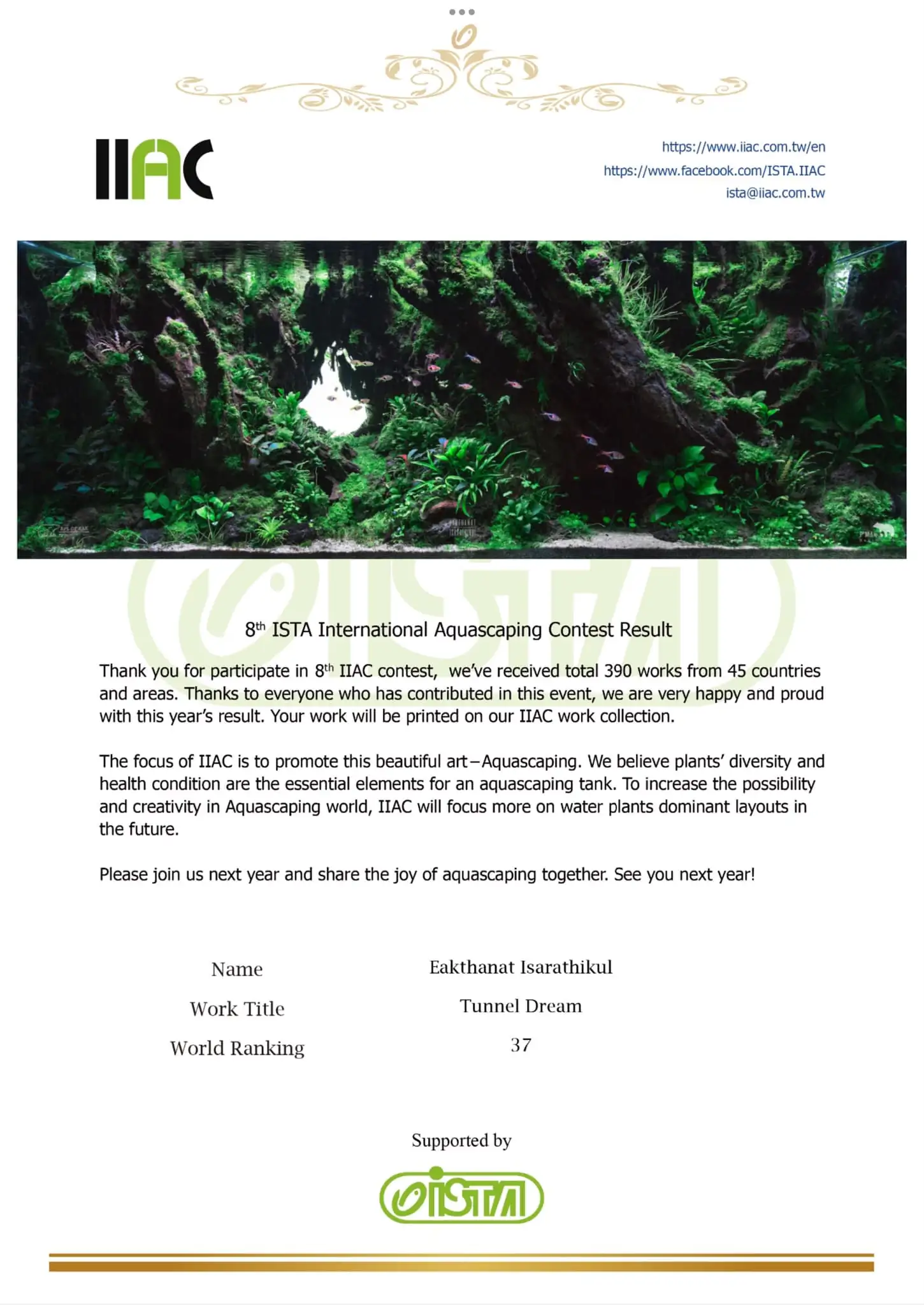 Aquascaping steps IIAC 2023 - Rank 37 - Tunnel Dream - Eakthanat Isarathikul / ThaiLand