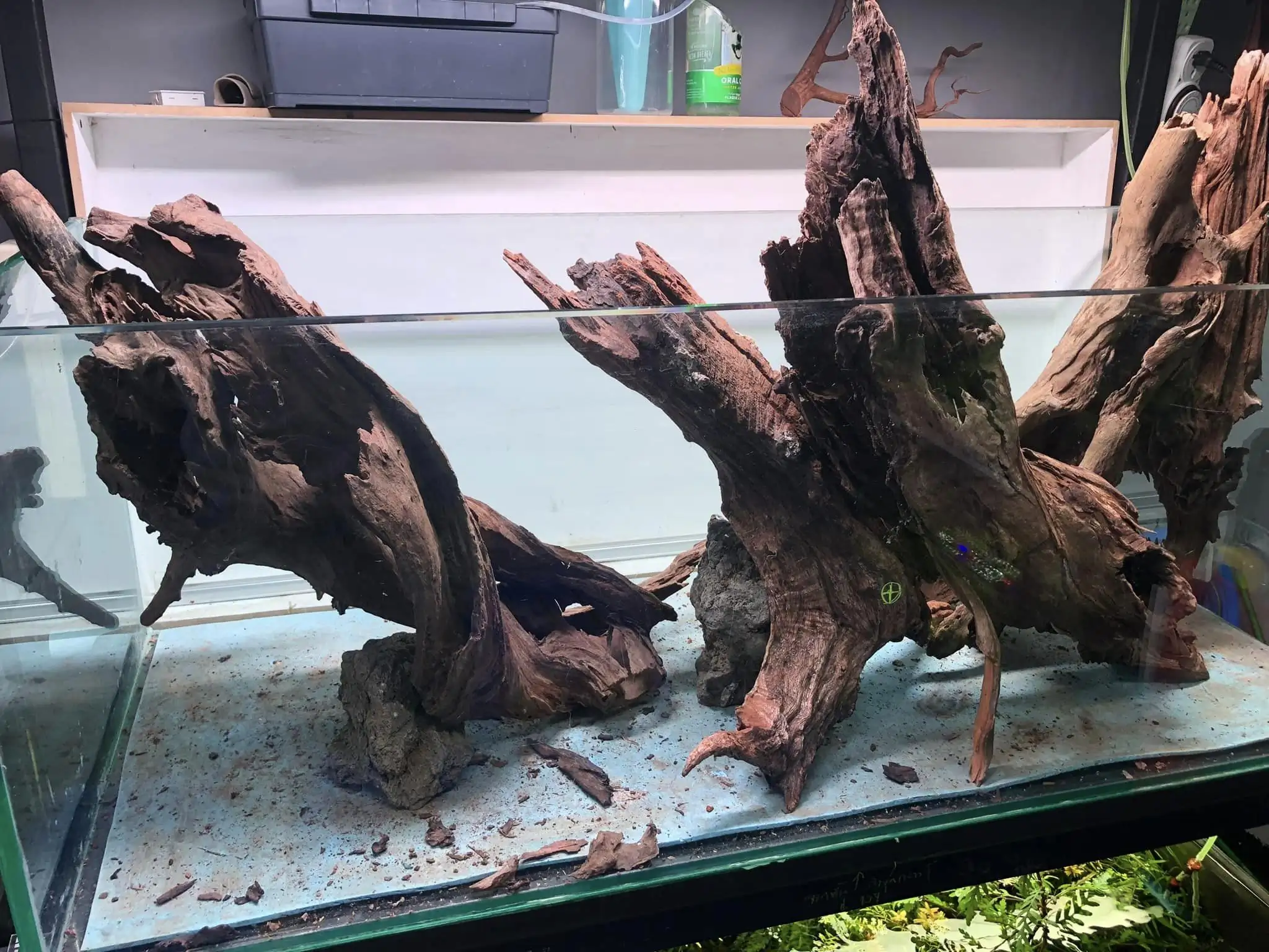 Aquascaping steps IIAC 2023 - Rank 37 - Tunnel Dream - Eakthanat Isarathikul / ThaiLand