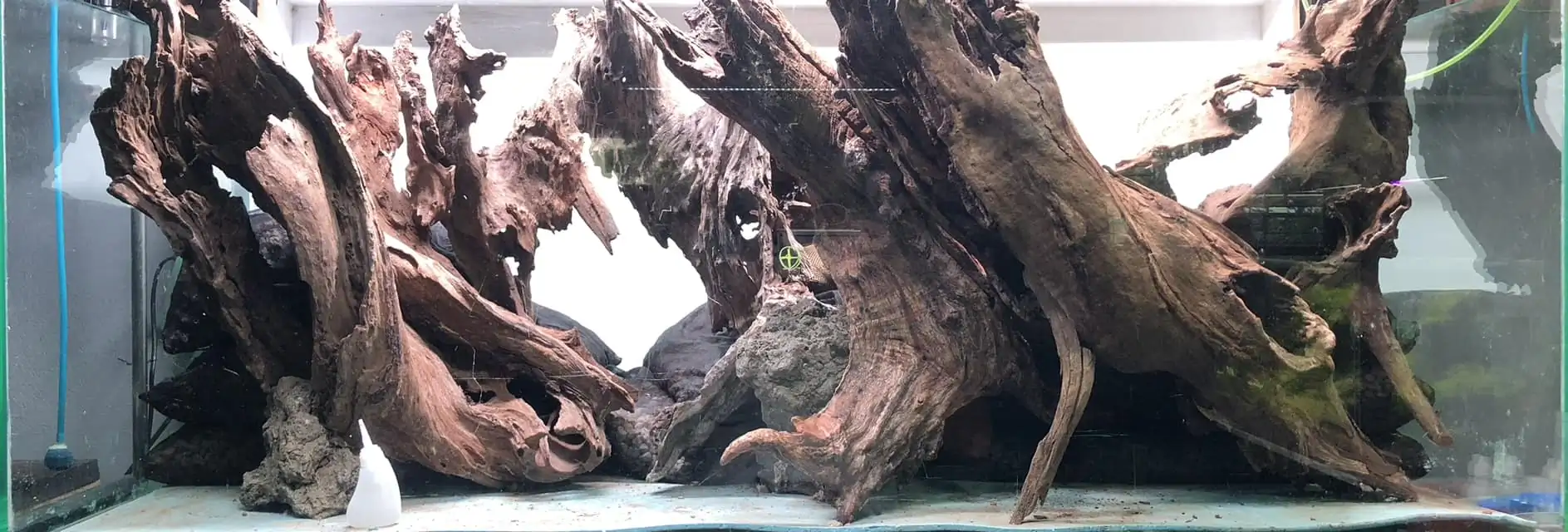 Aquascaping steps IIAC 2023 - Rank 37 - Tunnel Dream - Eakthanat Isarathikul / ThaiLand