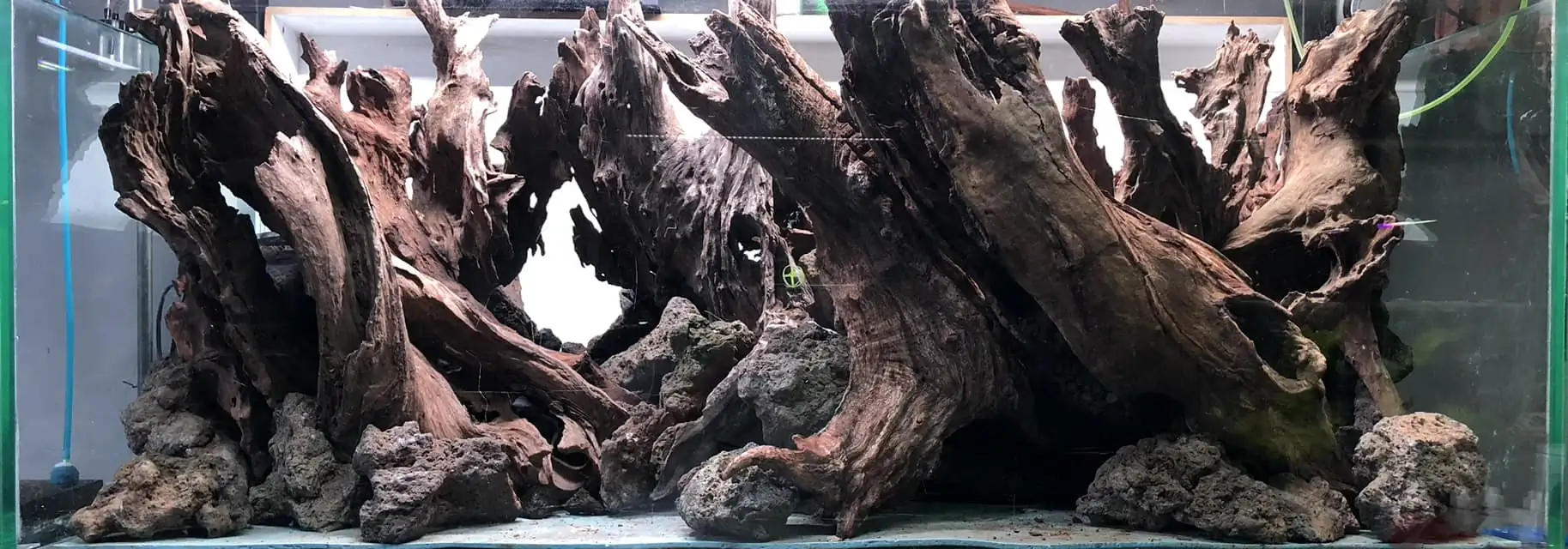 Aquascaping steps IIAC 2023 - Rank 37 - Tunnel Dream - Eakthanat Isarathikul / ThaiLand