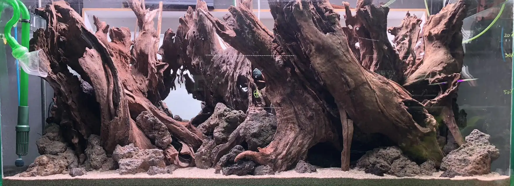 Aquascaping steps IIAC 2023 - Rank 37 - Tunnel Dream - Eakthanat Isarathikul / ThaiLand