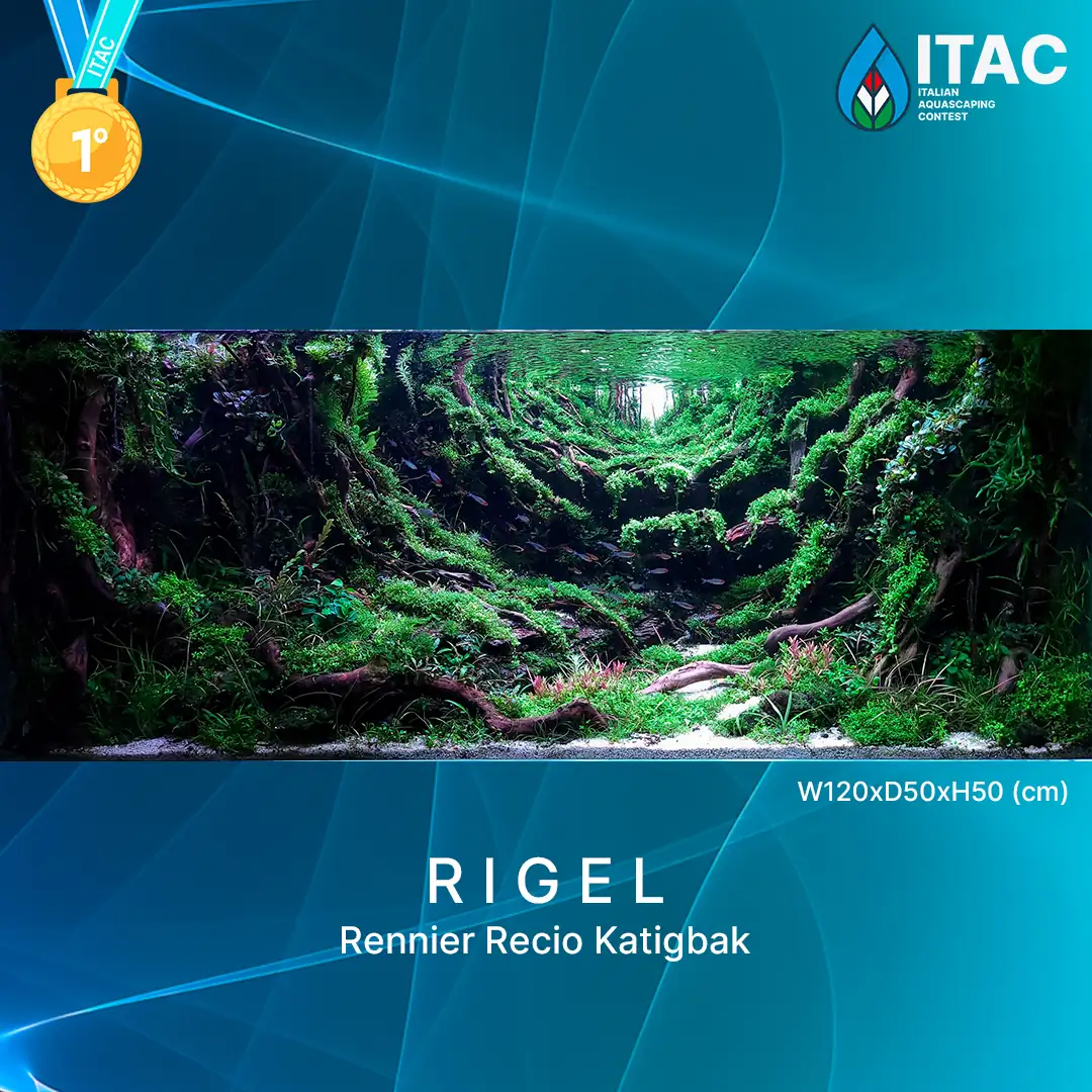ITAC 2022 - The Italian Aquascaping Contest