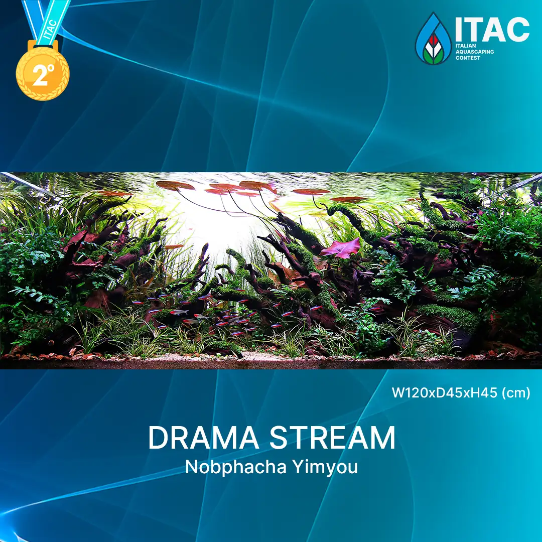 ITAC 2022 - The Italian Aquascaping Contest
