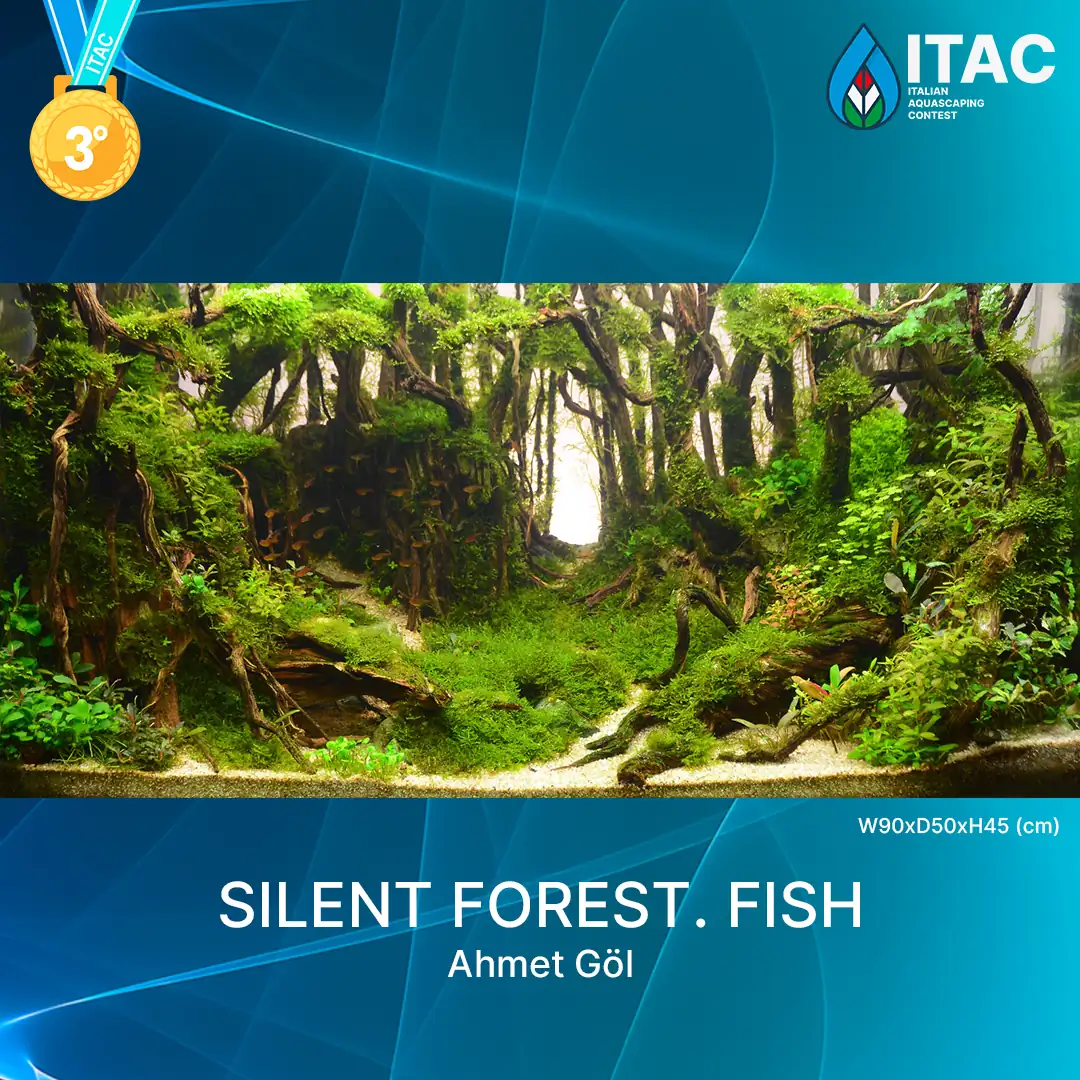 ITAC 2022 - The Italian Aquascaping Contest