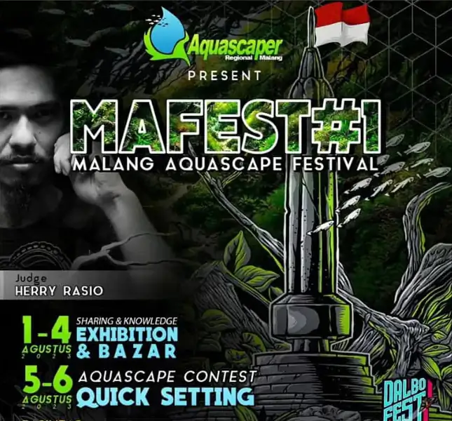 MAFEST 2023 - Malang Aquascape Festival - Result announcement
