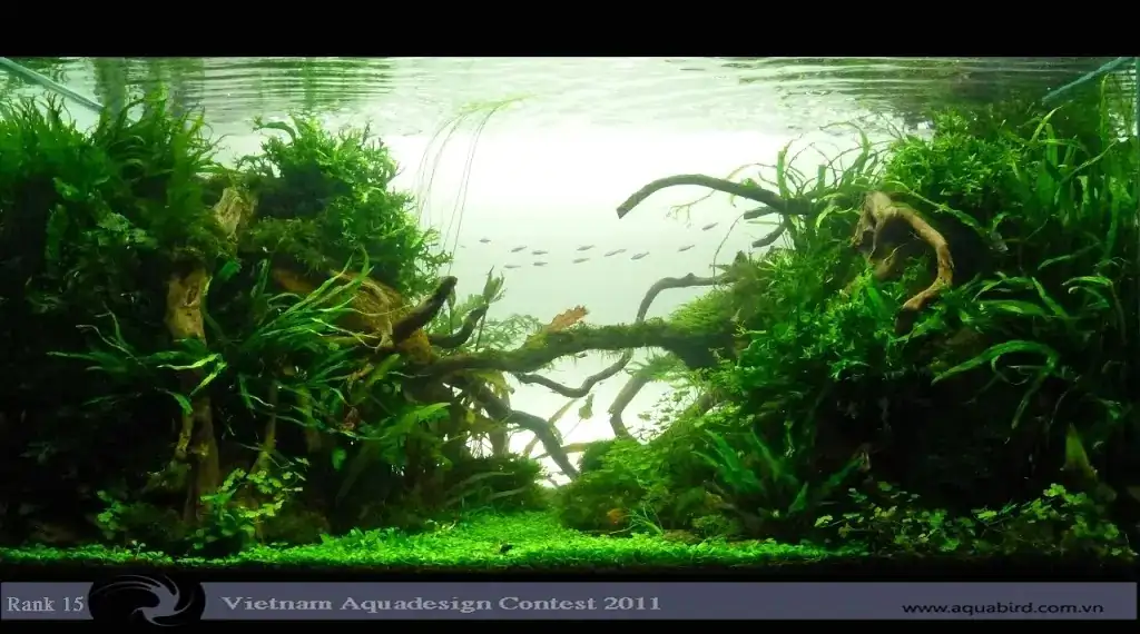 Vietnam Aquatic Design Contest 2011