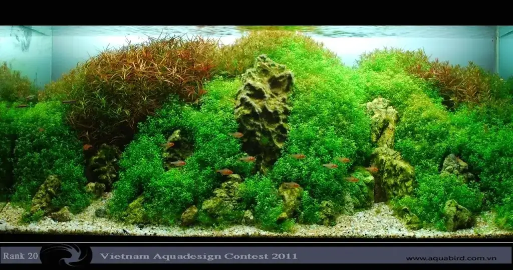Vietnam Aquatic Design Contest 2011