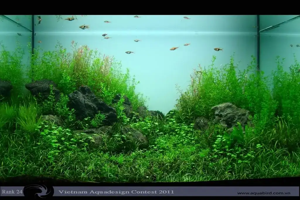 Vietnam Aquatic Design Contest 2011