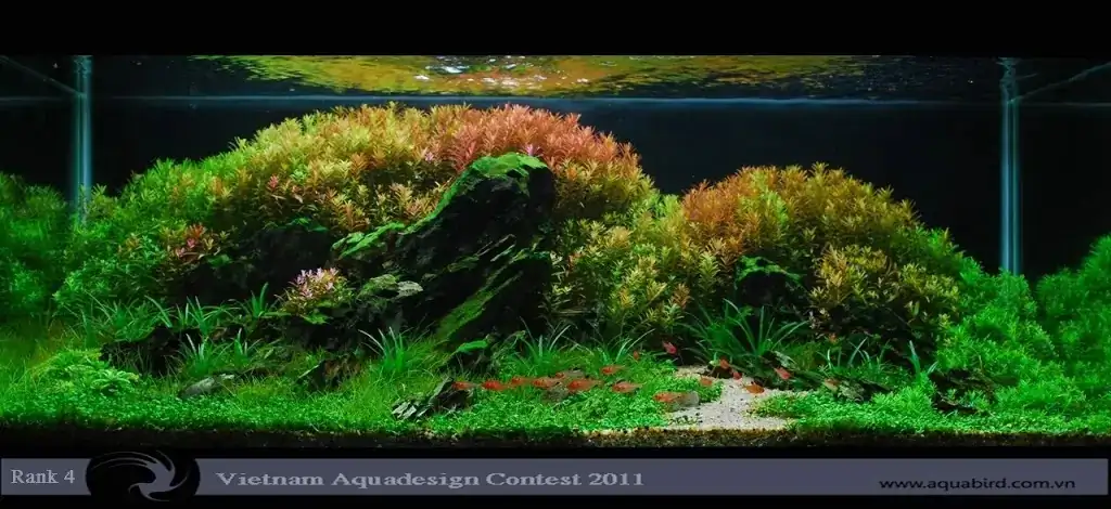 Vietnam Aquatic Design Contest 2011