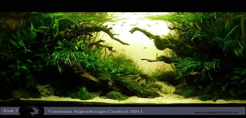 Vietnam Aquatic Design Contest 2011