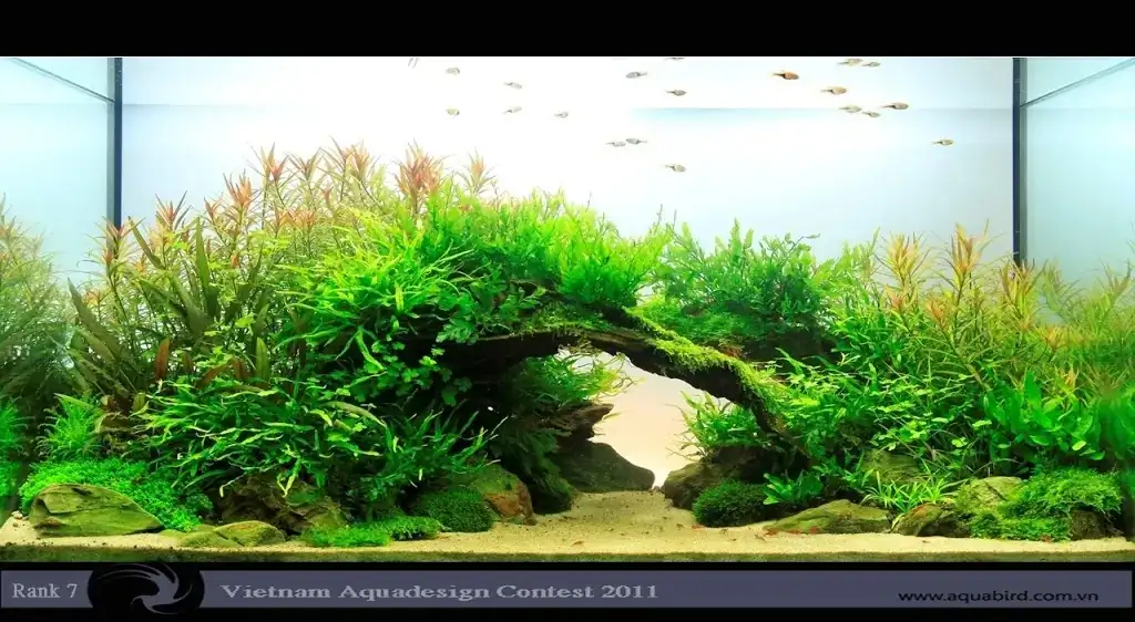 Vietnam Aquatic Design Contest 2011