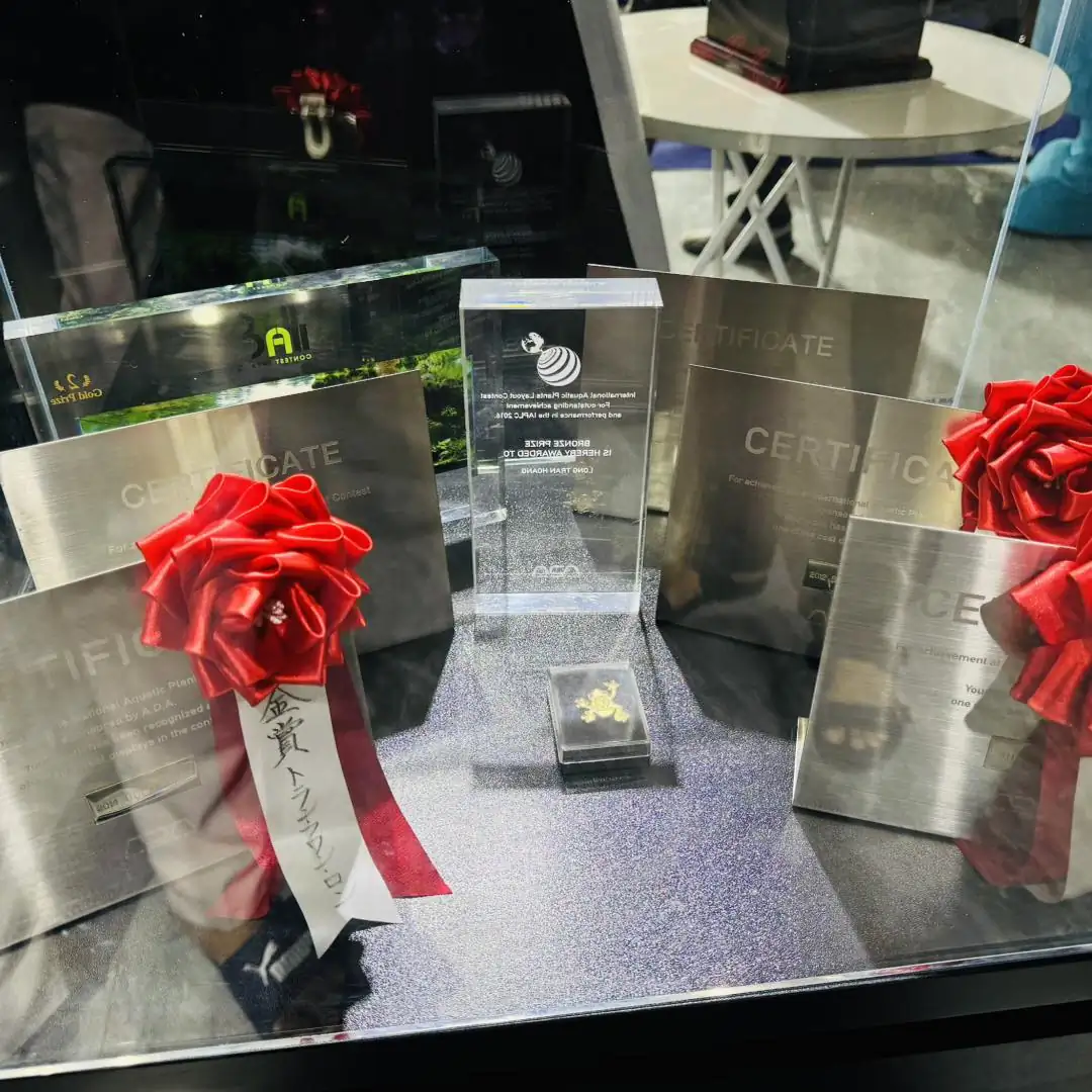 VNAC 2024 - A New Wave in Vietnamese Aquascaping