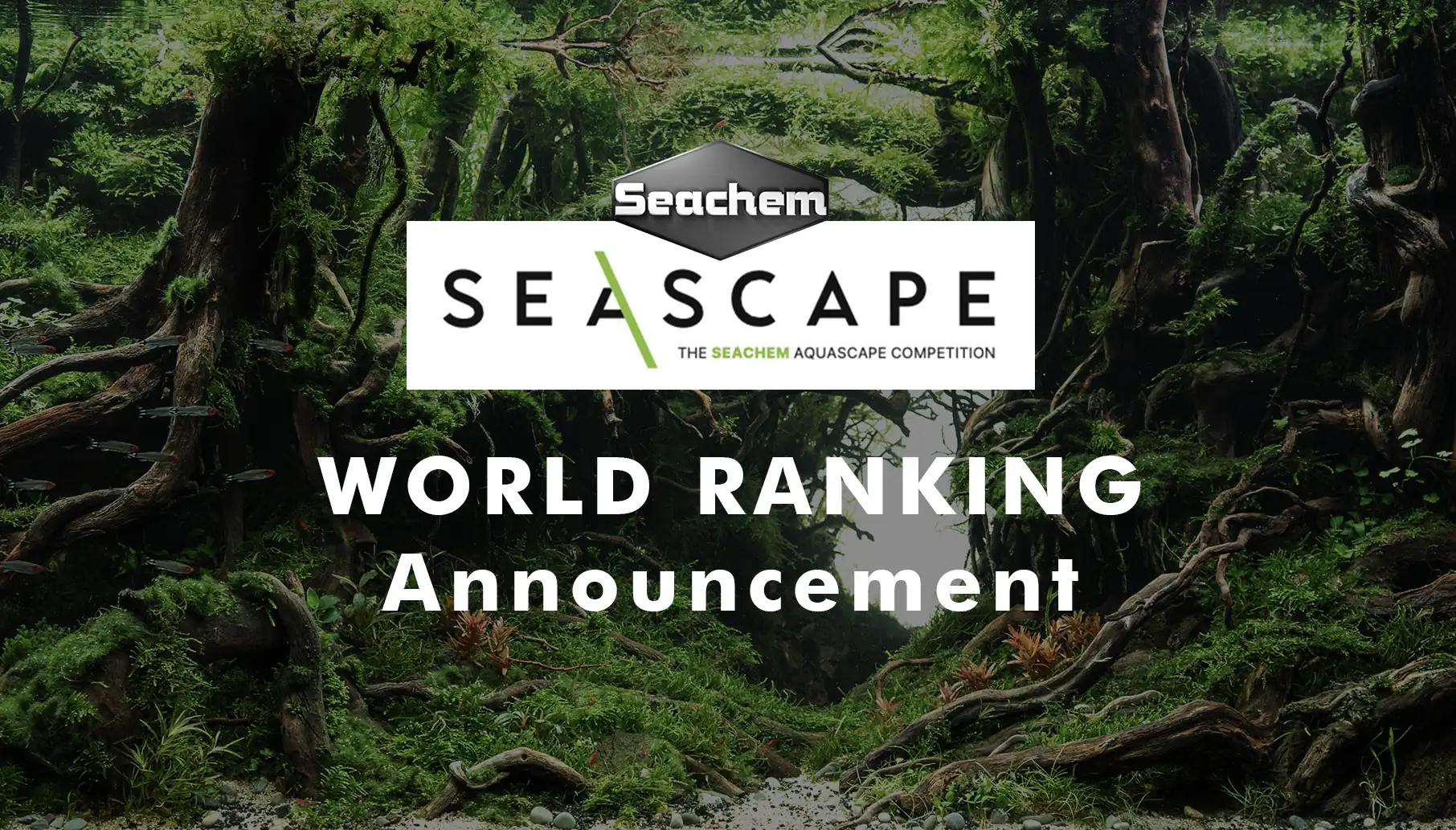 Seascape 2022 - The seachem Aquascape Competition - World Ranking Announcement